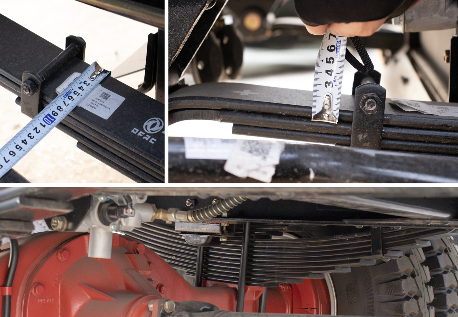 Nhíp trước: 9 lá - Nhíp sau: 18 lá